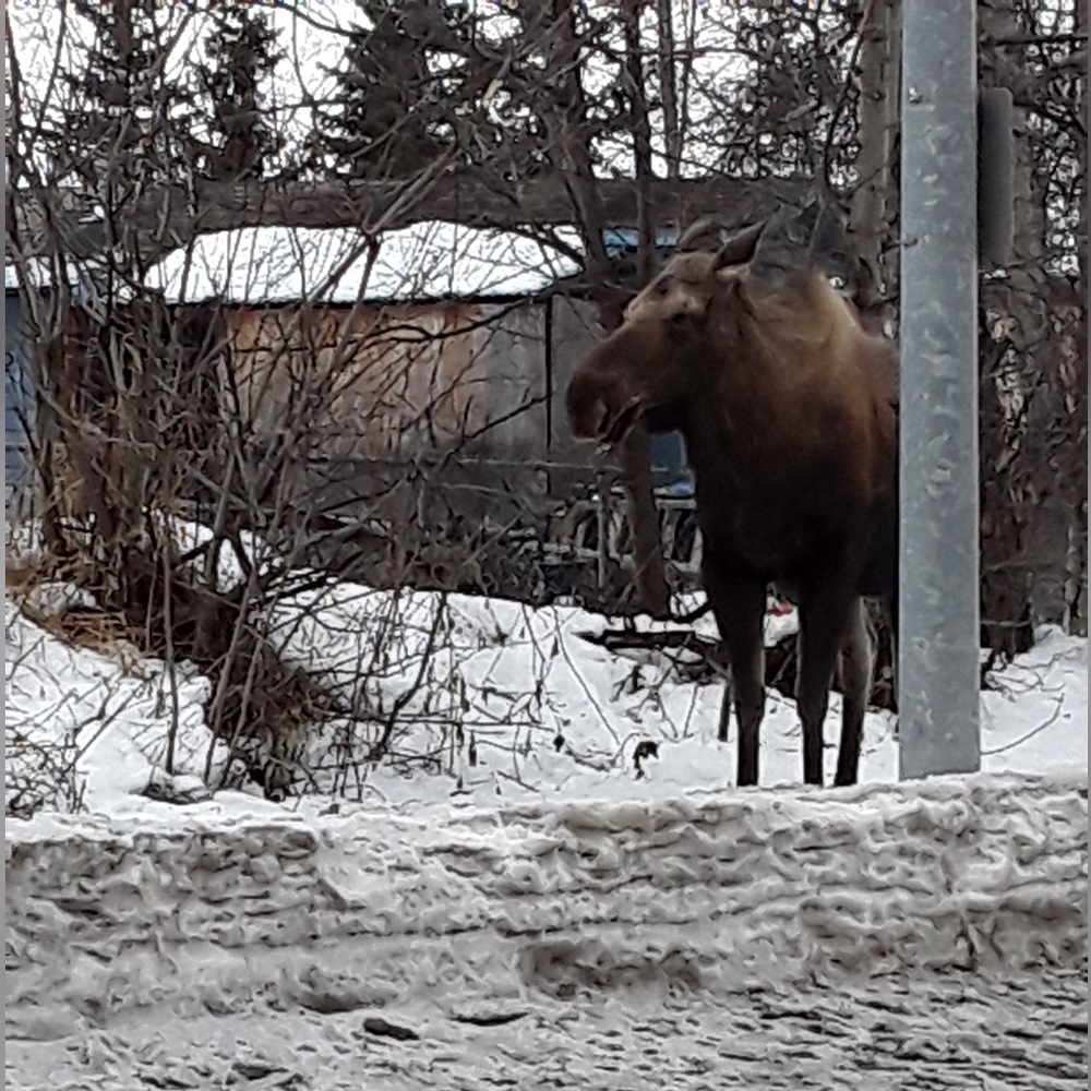 ✨Stay tuned for upcoming shows, pop-ups, and specialties shows!✨ - Picture 3 of 11